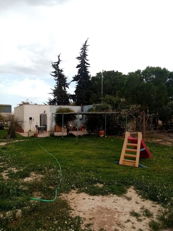 Finca rustica con vivienda en Lobosillo